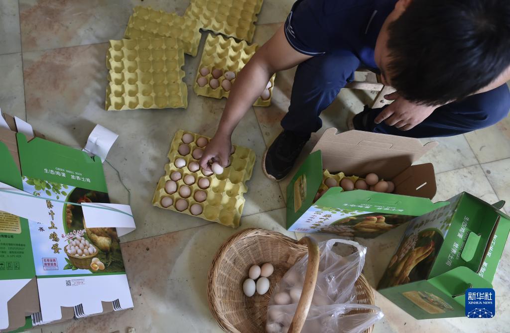 送彩金500的网站大白菜